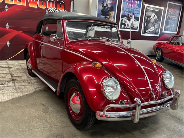 1964 Volkswagen Beetle (CC-2075937) for sale in West Babylon, New York