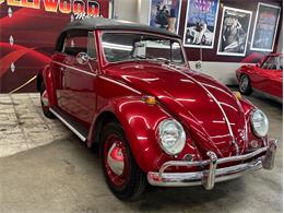 1964 Volkswagen Beetle (CC-2075937) for sale in West Babylon, New York