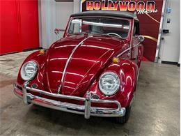 1964 Volkswagen Beetle (CC-2075937) for sale in West Babylon, New York