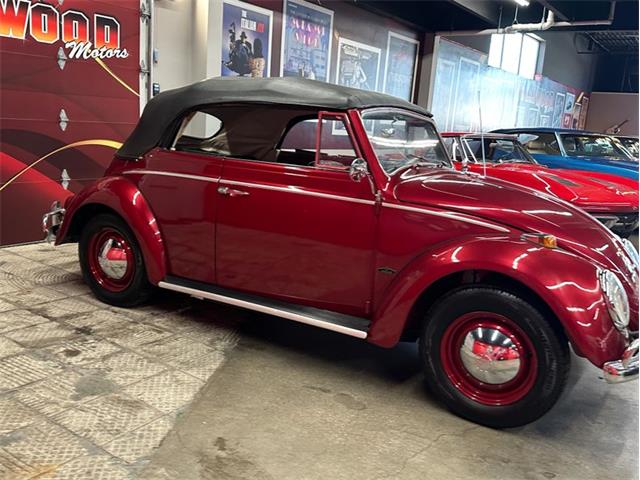 1964 Volkswagen Beetle (CC-2075937) for sale in West Babylon, New York