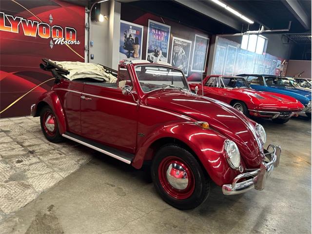 1964 Volkswagen Beetle (CC-2075937) for sale in West Babylon, New York