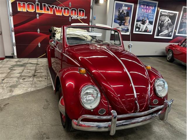 1964 Volkswagen Beetle (CC-2075937) for sale in West Babylon, New York