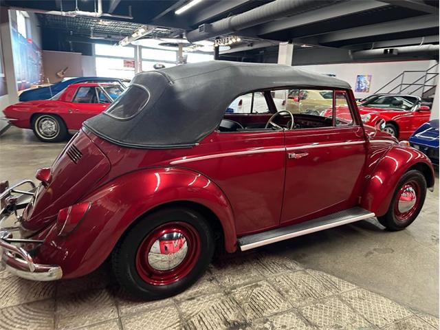 1964 Volkswagen Beetle (CC-2075937) for sale in West Babylon, New York