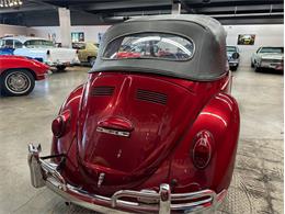1964 Volkswagen Beetle (CC-2075937) for sale in West Babylon, New York
