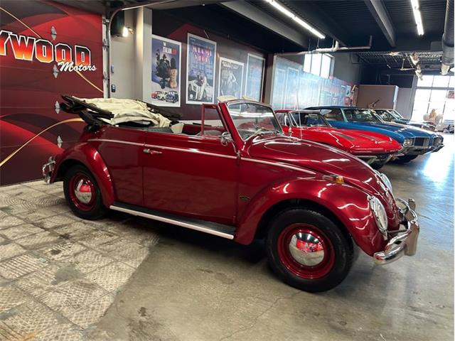 1964 Volkswagen Beetle (CC-2075937) for sale in West Babylon, New York