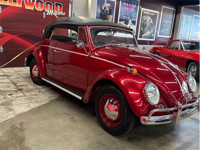 1964 Volkswagen Beetle (CC-2075937) for sale in West Babylon, New York