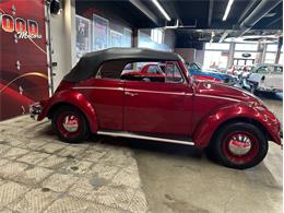 1964 Volkswagen Beetle (CC-2075937) for sale in West Babylon, New York