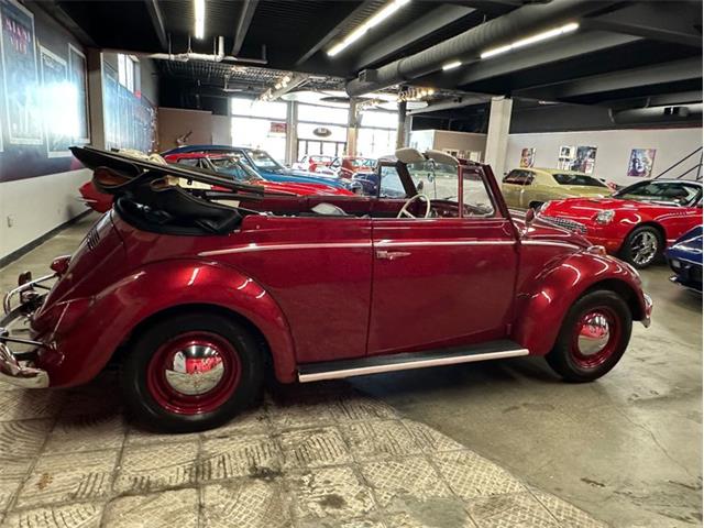 1964 Volkswagen Beetle (CC-2075937) for sale in West Babylon, New York