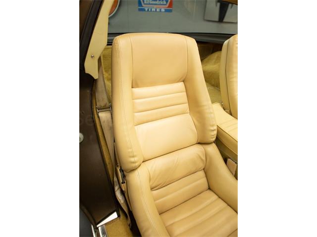 1980 Chevrolet Corvette (CC-2075956) for sale in Cincinnati, Ohio
