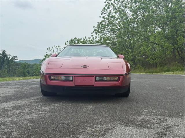 1990 Chevrolet Corvette (CC-2075969) for sale in Orwigsburg, Pennsylvania