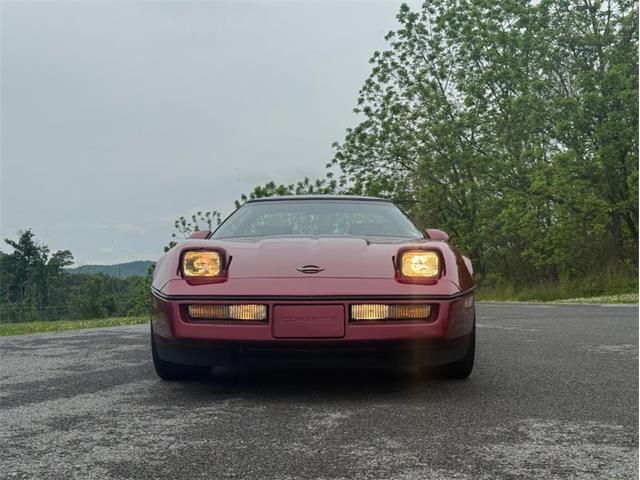 1990 Chevrolet Corvette (CC-2075969) for sale in Orwigsburg, Pennsylvania