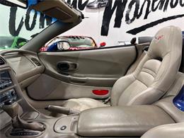 2004 Chevrolet Corvette (CC-2070060) for sale in Dallas, Texas