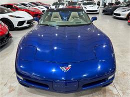 2004 Chevrolet Corvette (CC-2070060) for sale in Dallas, Texas