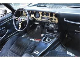 1979 Pontiac Firebird (CC-2076029) for sale in Milford, Ohio