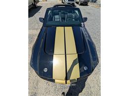 2007 Ford Mustang Shelby GTH (CC-2076031) for sale in Riverton, Wyoming