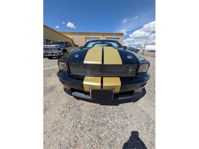 2007 Ford Mustang Shelby GTH (CC-2076031) for sale in Riverton, Wyoming