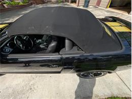 2007 Ford Mustang Shelby GTH (CC-2076031) for sale in Riverton, Wyoming