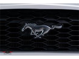 2005 Ford Mustang (CC-2076043) for sale in Halton Hills, Ontario