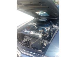 1970 Ford Mustang (CC-2076069) for sale in West Roxbury, Massachusetts