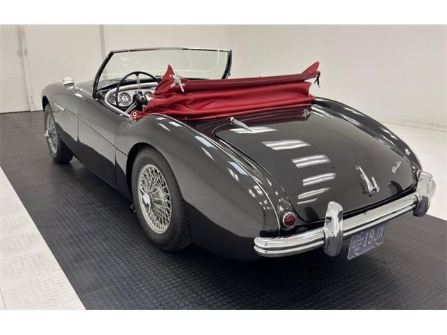 1953 Austin-Healey 100-4 (CC-2076090) for sale in Morgantown, Pennsylvania