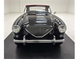 1953 Austin-Healey 100-4 (CC-2076090) for sale in Morgantown, Pennsylvania