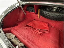 1953 Austin-Healey 100-4 (CC-2076090) for sale in Morgantown, Pennsylvania