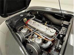 1953 Austin-Healey 100-4 (CC-2076090) for sale in Morgantown, Pennsylvania