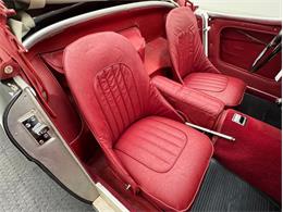 1953 Austin-Healey 100-4 (CC-2076090) for sale in Morgantown, Pennsylvania