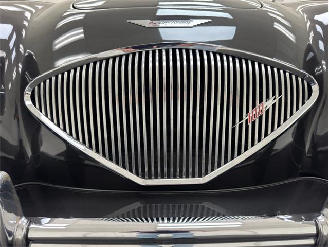 1953 Austin-Healey 100-4 (CC-2076090) for sale in Morgantown, Pennsylvania