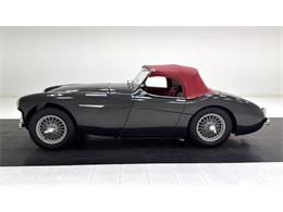 1953 Austin-Healey 100-4 (CC-2076090) for sale in Morgantown, Pennsylvania