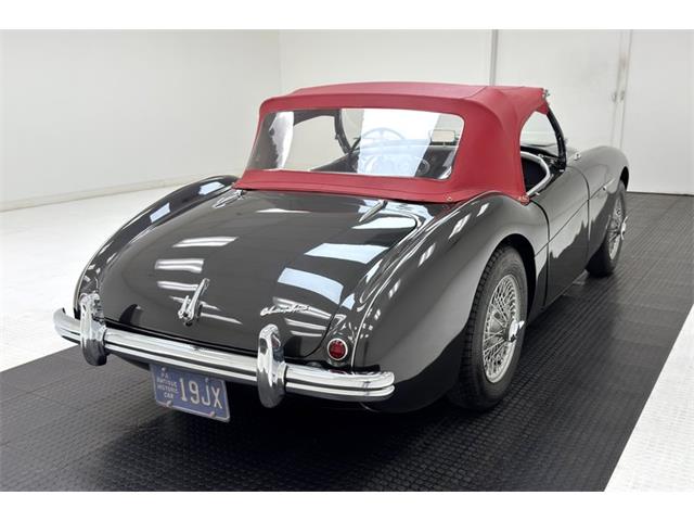 1953 Austin-Healey 100-4 (CC-2076090) for sale in Morgantown, Pennsylvania
