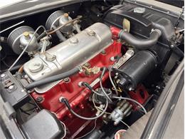 1953 Austin-Healey 100-4 (CC-2076090) for sale in Morgantown, Pennsylvania