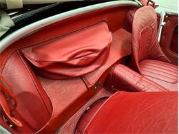 1953 Austin-Healey 100-4 (CC-2076090) for sale in Morgantown, Pennsylvania