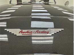 1953 Austin-Healey 100-4 (CC-2076090) for sale in Morgantown, Pennsylvania
