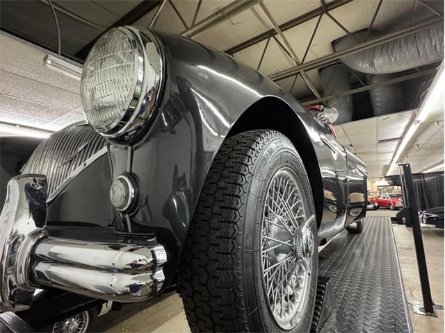1953 Austin-Healey 100-4 (CC-2076090) for sale in Morgantown, Pennsylvania