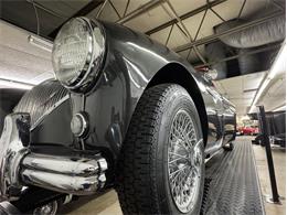 1953 Austin-Healey 100-4 (CC-2076090) for sale in Morgantown, Pennsylvania