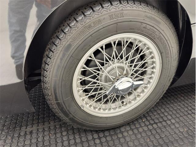 1953 Austin-Healey 100-4 (CC-2076090) for sale in Morgantown, Pennsylvania