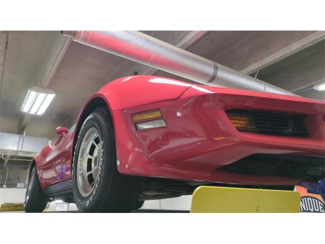 1980 Chevrolet Corvette (CC-2076128) for sale in Mankato, Minnesota