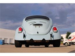 1969 Volkswagen Beetle (CC-2076133) for sale in Grapevine, Texas