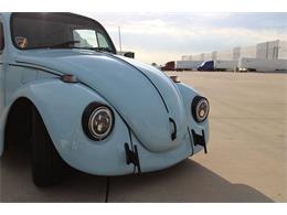 1969 Volkswagen Beetle (CC-2076133) for sale in Grapevine, Texas