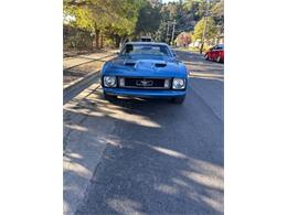 1973 Ford Mustang (CC-2076147) for sale in Cadillac, Michigan
