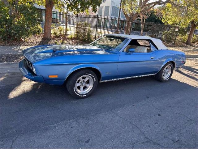 1973 Ford Mustang (CC-2076147) for sale in Cadillac, Michigan