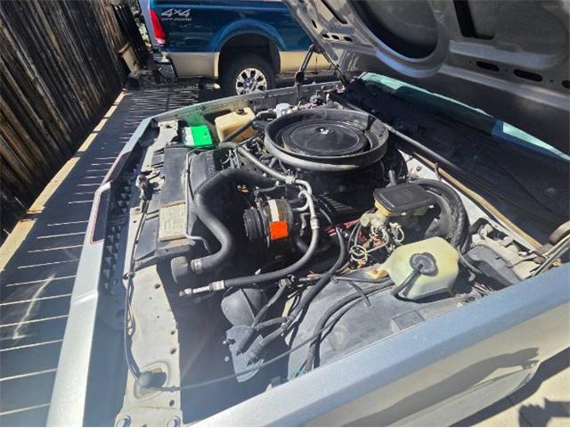 1987 Chevrolet El Camino (CC-2076152) for sale in Cadillac, Michigan