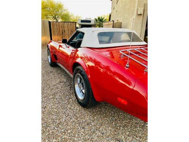 1974 Chevrolet Corvette (CC-2076155) for sale in Cadillac, Michigan