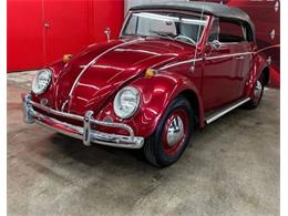 1964 Volkswagen Beetle (CC-2076165) for sale in Cadillac, Michigan