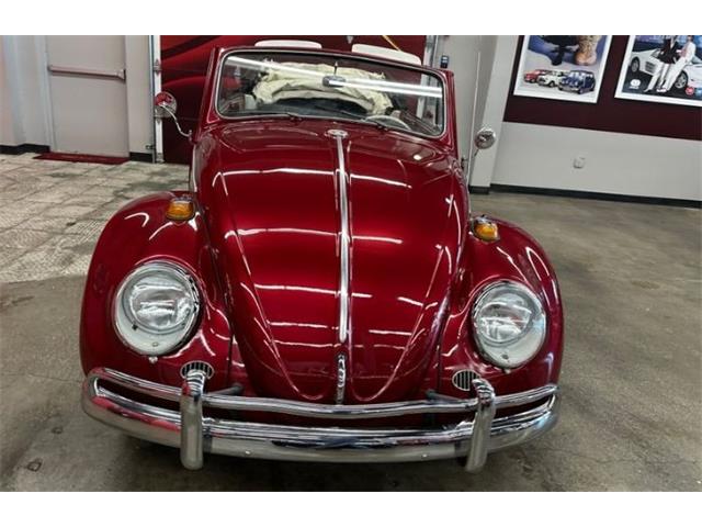 1964 Volkswagen Beetle (CC-2076165) for sale in Cadillac, Michigan