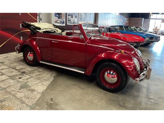1964 Volkswagen Beetle (CC-2076165) for sale in Cadillac, Michigan