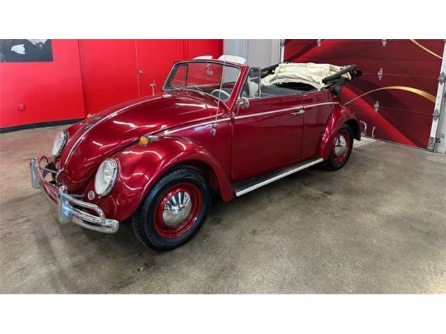 1964 Volkswagen Beetle (CC-2076165) for sale in Cadillac, Michigan