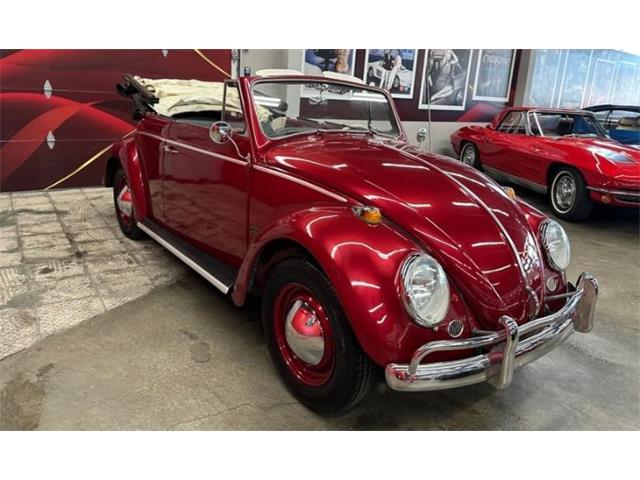 1964 Volkswagen Beetle (CC-2076165) for sale in Cadillac, Michigan