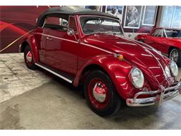 1964 Volkswagen Beetle (CC-2076165) for sale in Cadillac, Michigan
